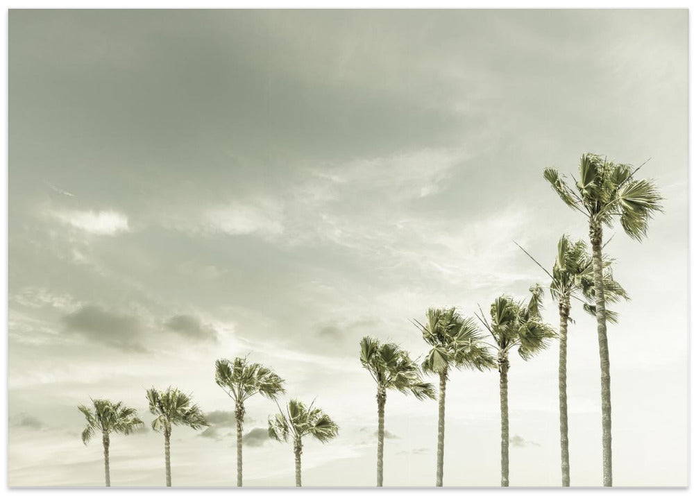 Vintage Palm Trees at the beach