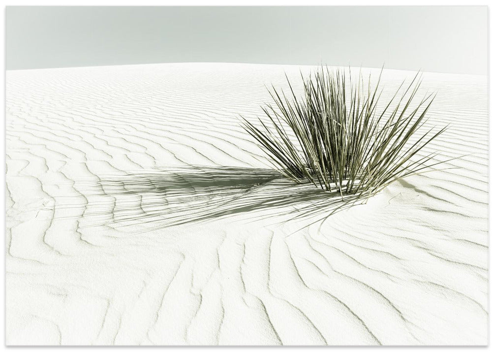 WHITE SANDS Vintage Dune