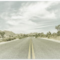 Vintage Joshua Trees, Park Boulevard