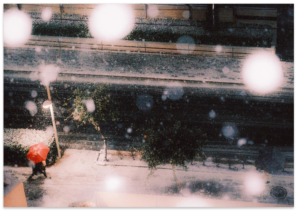 snowfall tokyo