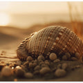 Seashell Serenity