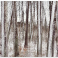 Winter trees