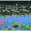 Pink Lotus Lilies in a Pond
