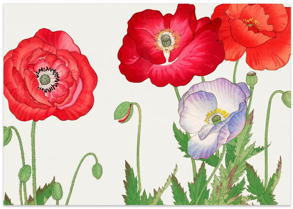 Vintage Poppy Flower No.2