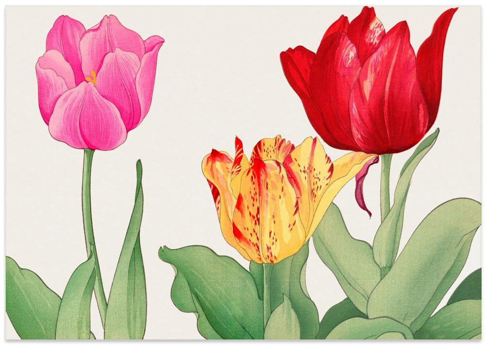 Tulips No.2