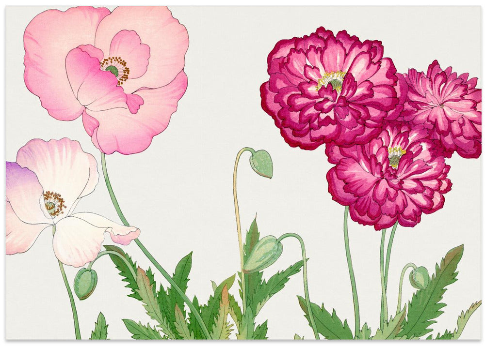 Vintage Poppy Flower No.2