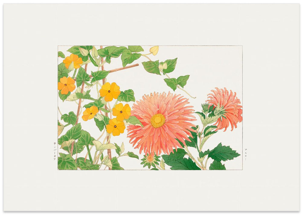 Thunbergia & Aster Flower,