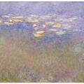 Claude Monet's Water Lilies