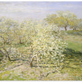 Spring (fruit Trees In Bloom) (1873) By Claude Monet