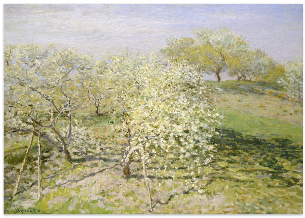 Spring (fruit Trees In Bloom) (1873) By Claude Monet