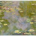 Water Lilies (1919)