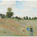 Poppy Field Near Argenteuil (1873)