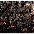 Charred Earth Surface