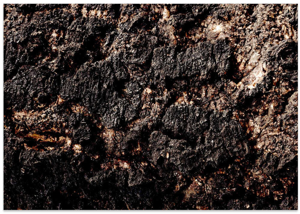 Charred Earth Surface