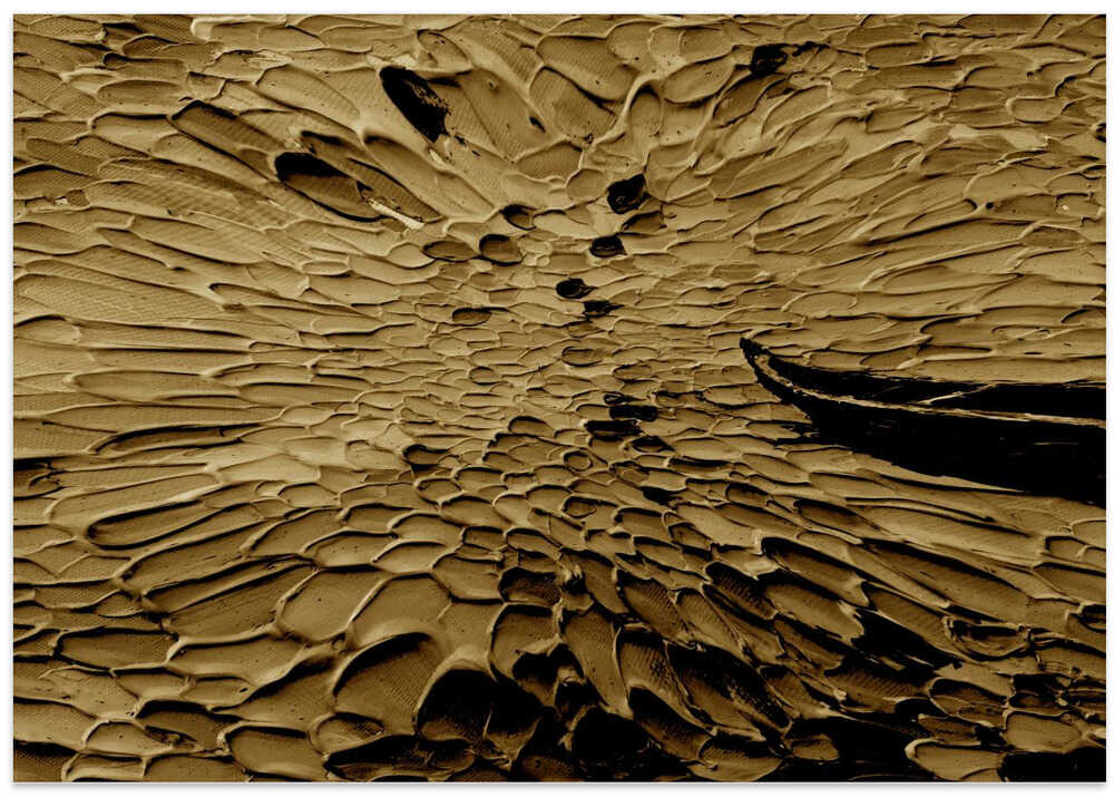 Textured Sepia Waves