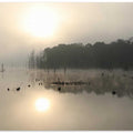 Misty Lake Dawn