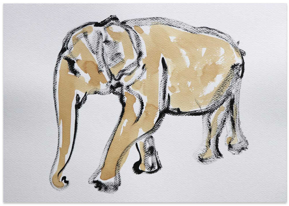 Majestic Elephant Stroll