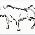 Bold Ink Bull
