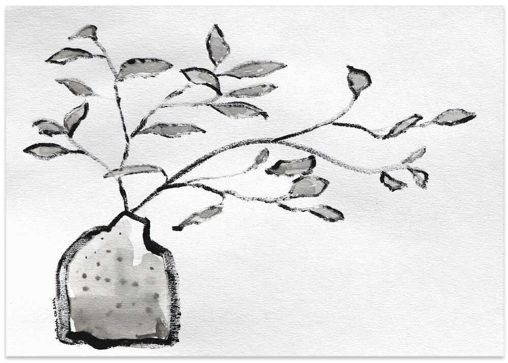 Monochrome Foliage