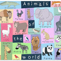 Animals of the World Illustration by Artist Carla Daly