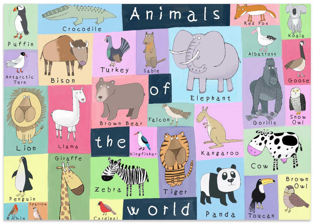 Animals of the World Illustration by Artist Carla Daly