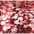 Crimson Lily Pond