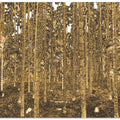 Golden Forest Glimpse