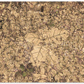 Fallen Leaves Mosaic