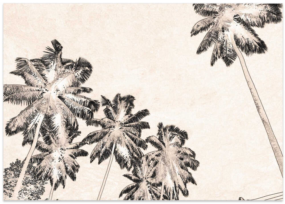 Tropical Silhouettes