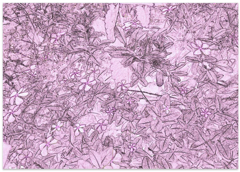 Pastel Blossom Whisper