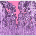Pink Forest Dream