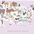 United States of Ameica Pink & White by Artist Carla Daly