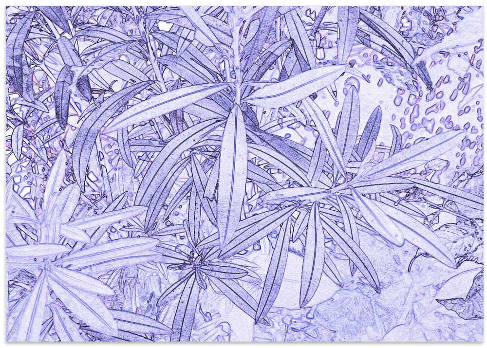 Lavender Leaves Maze