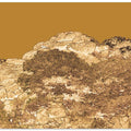 Golden Rocky Terrain