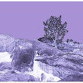 Violet Rockscape
