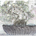 Whimsical Bonsai