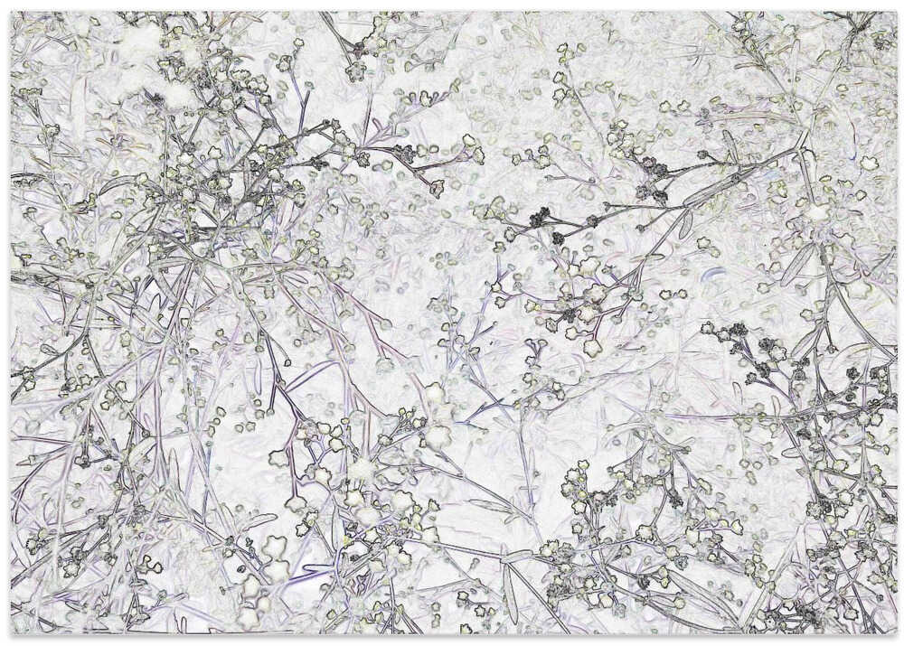 Winter Branches Dance