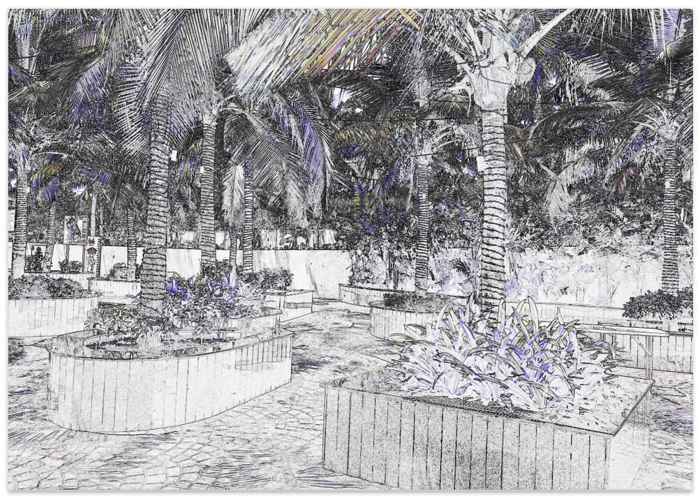 Tropical Sketch Garden