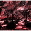 Crimson Palm Shadows