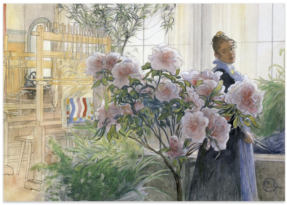 Azalea (1906)