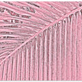 Pink Palm Pattern