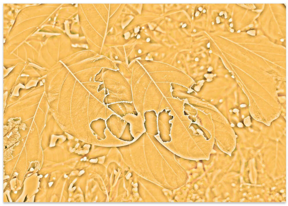 Golden Leaf Whispers