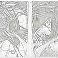 Palm Fronds Sketch