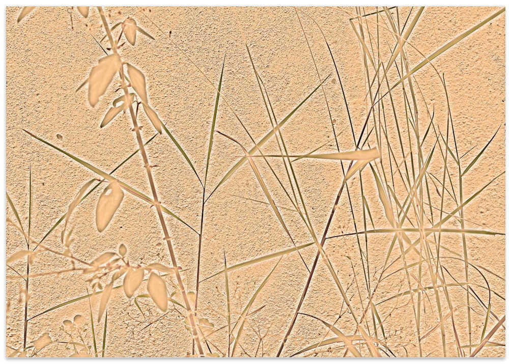 Textured Flora Scene