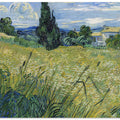 Green Wheat Field With Cypress (1889)