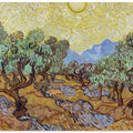 Vincent Van Gogh's Olive Trees (1889)