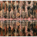 Forest Mirror