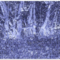 Blue Forest Depths