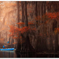 Caddo Lake 3