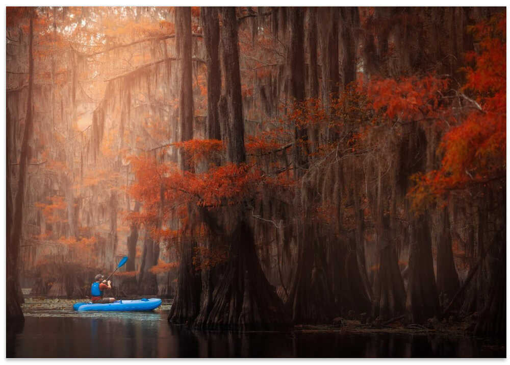 Caddo Lake 3